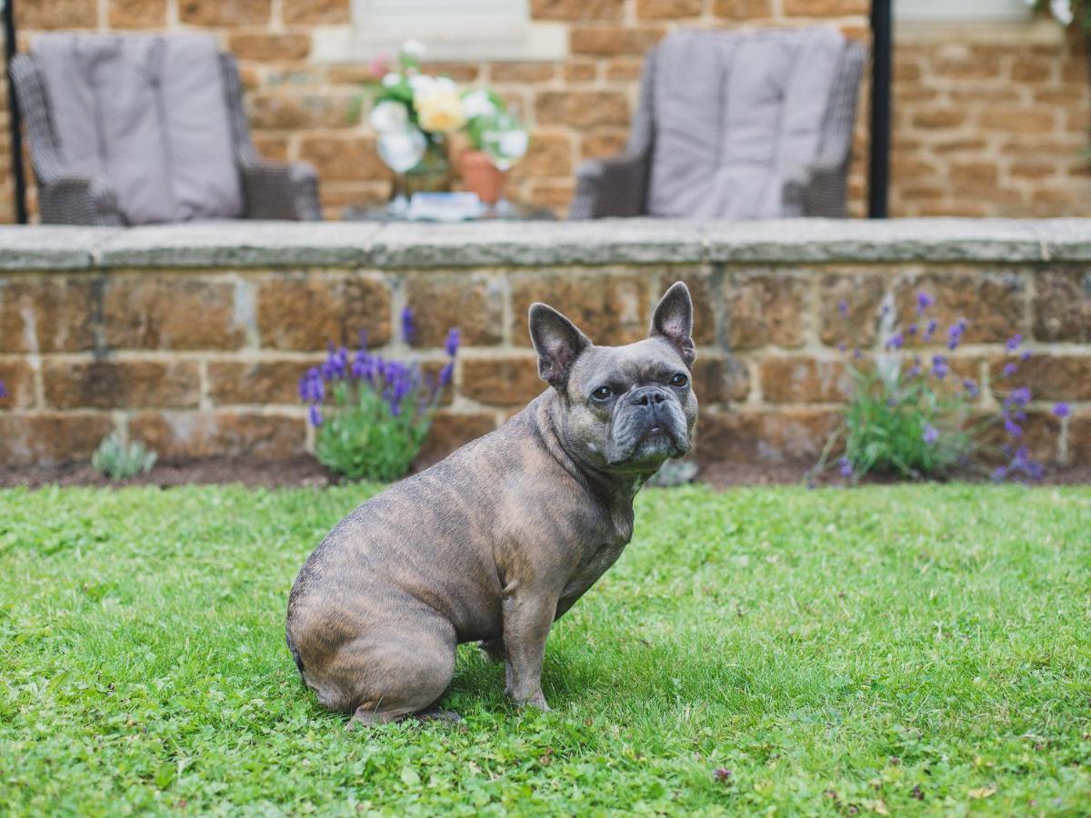 Climbing Rose Cottage - Dog Friendly - Peaceful Cotswold Cottage Adlestrop Экстерьер фото